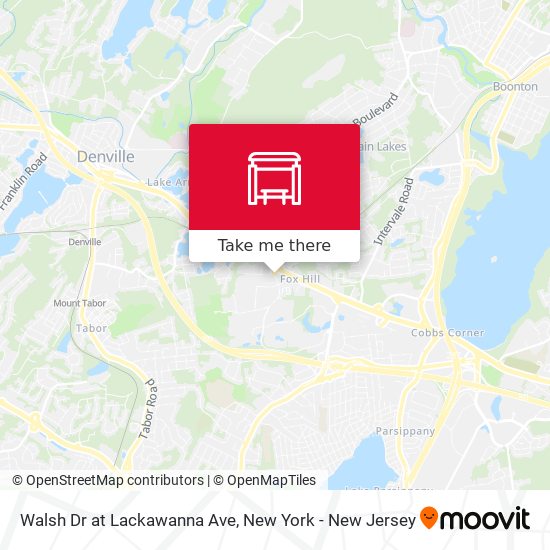 Mapa de Walsh Dr at Lackawanna Ave