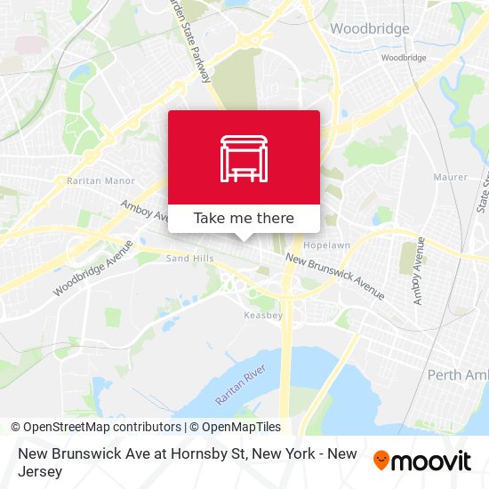 New Brunswick Ave at Hornsby St map