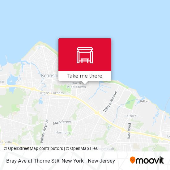 Mapa de Bray Ave at Thorne St#