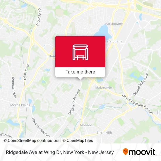 Ridgedale Ave at Wing Dr map