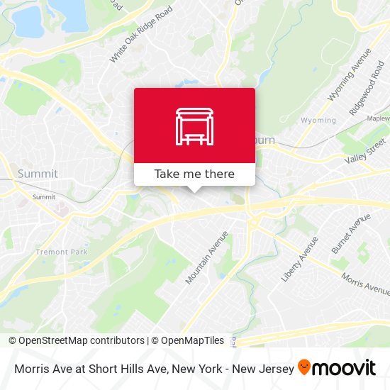 Morris Ave at Short Hills Ave map