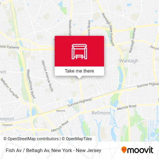 Fish Av / Beltagh Av map