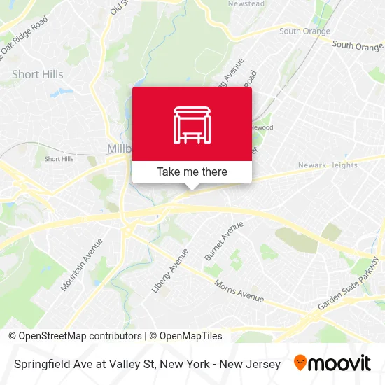 Springfield Ave at Valley St map