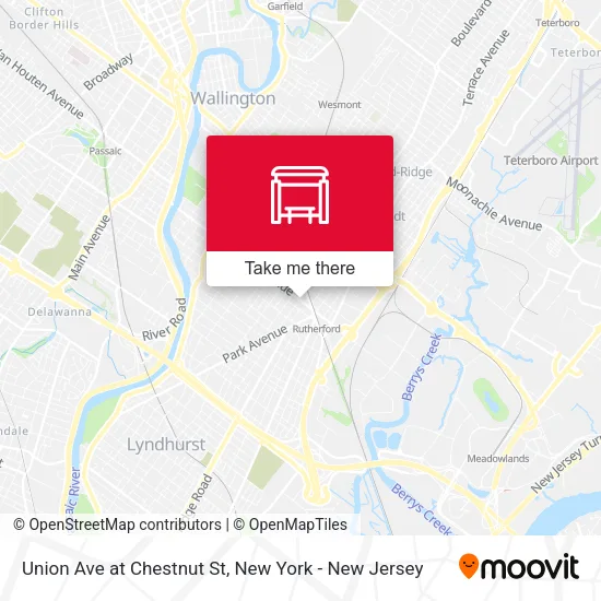 Union Ave at Chestnut St map