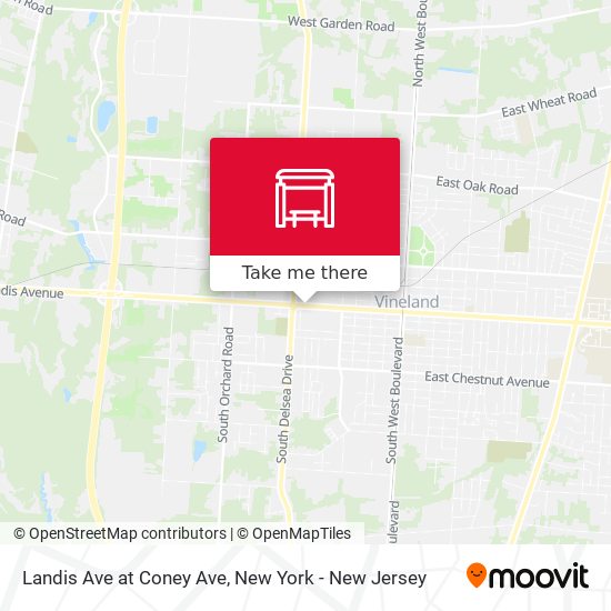 Mapa de Landis Ave at Coney Ave