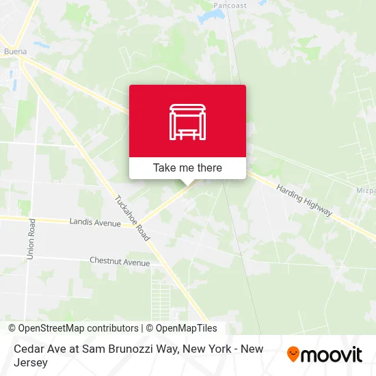 Cedar Ave at Sam Brunozzi Way map