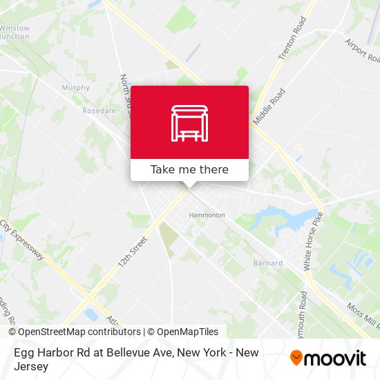 Egg Harbor Rd at Bellevue Ave map