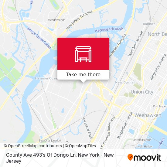 County Ave 493's Of Dorigo Ln map