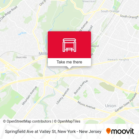 Springfield Ave at Valley St map