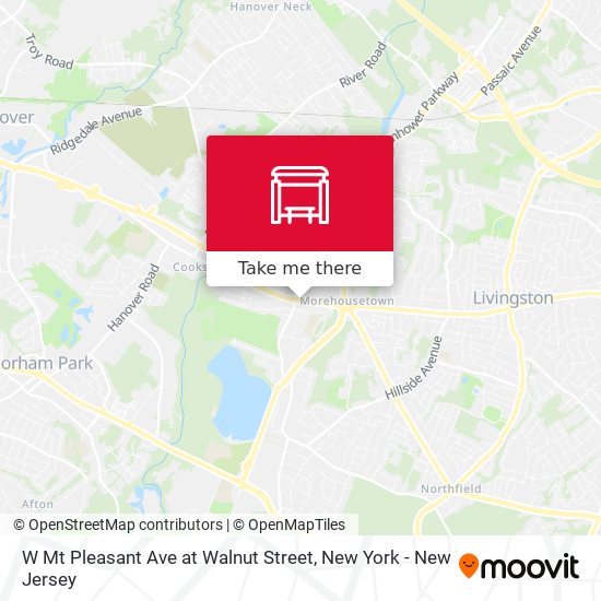 W Mt Pleasant Ave at Walnut Street map