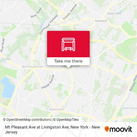 Mt Pleasant Ave at Livingston Ave map
