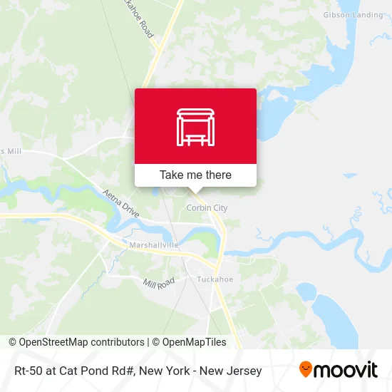 Rt-50 at Cat Pond Rd# map