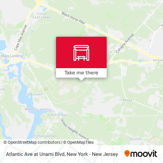 Mapa de Atlantic Ave at Unami Blvd