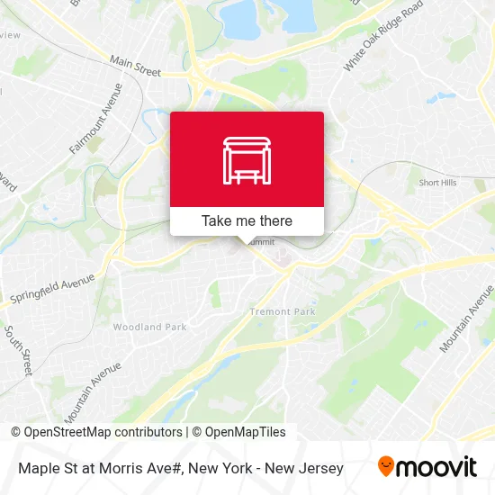 Maple St at Morris Ave# map