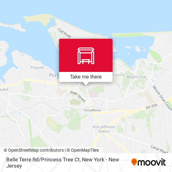 Belle Terre Rd / Princess Tree Ct map