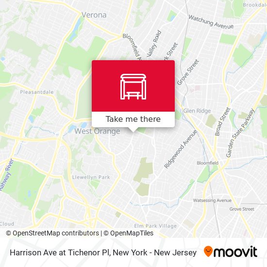 Harrison Ave at Tichenor Pl map