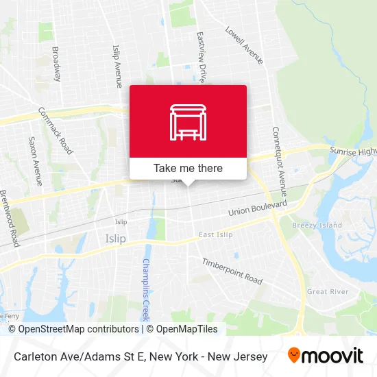 Carleton Ave/Adams St E map