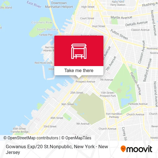 Gowanus Exp/20 St.Nonpublic map