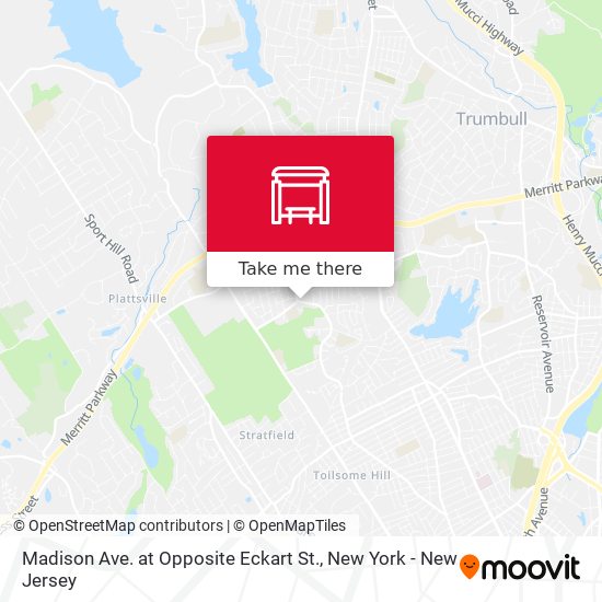 Madison Ave. at Opposite Eckart St. map