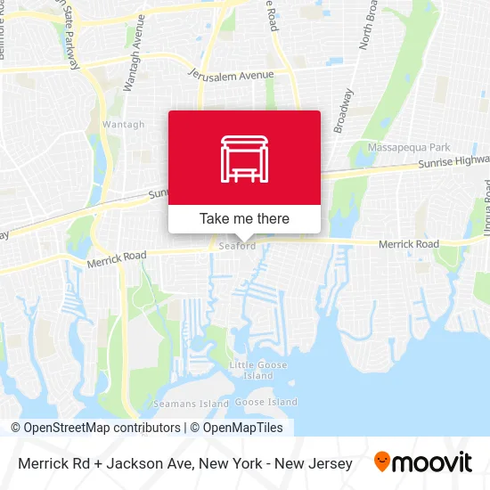 Merrick Rd + Jackson Ave map