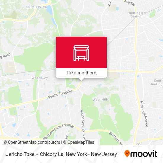 Jericho Tpke + Chicory La map