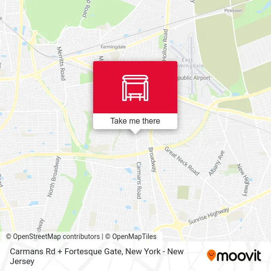 Carmans Rd + Fortesque Gate map