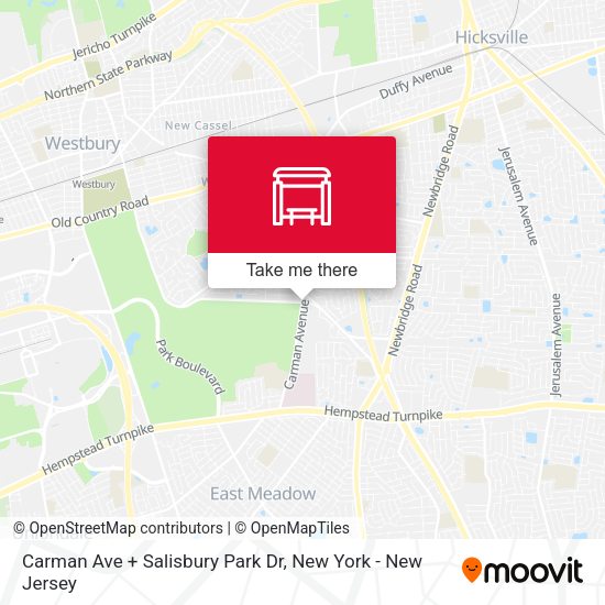 Mapa de Carman Ave + Salisbury Park Dr
