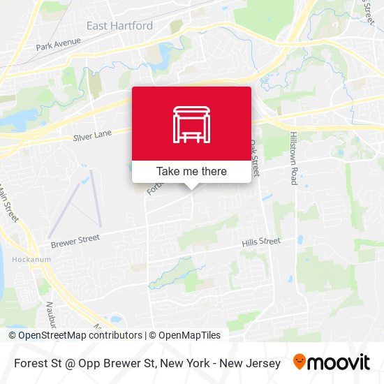Forest St @ Opp Brewer St map