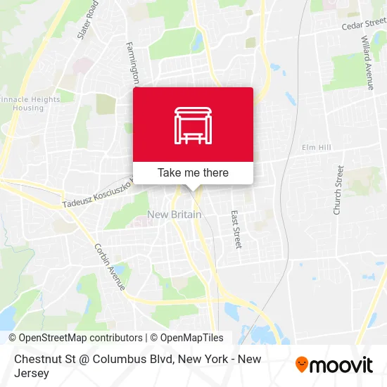Chestnut St @ Columbus Blvd map