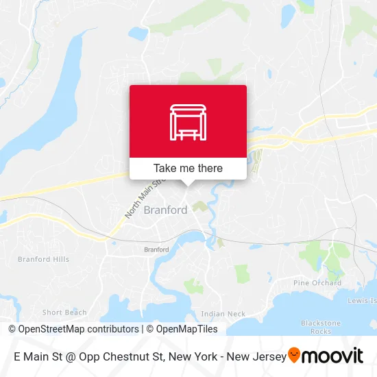 E Main St @ Opp Chestnut St map