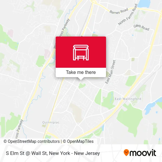 S Elm St @ Wall St map