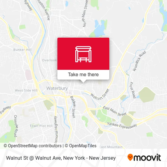 Walnut St @ Walnut Ave map