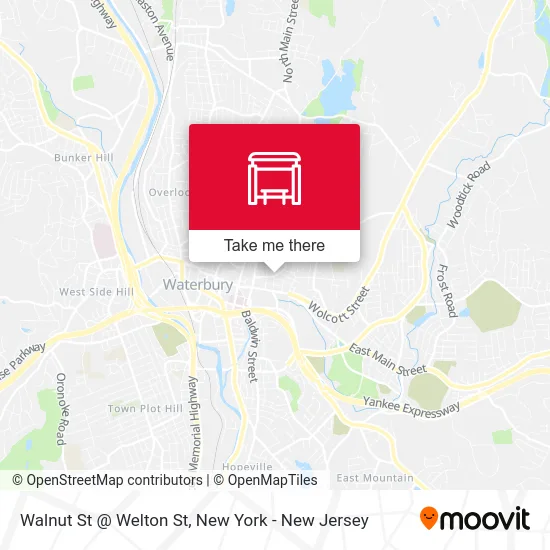 Walnut St @ Welton St map