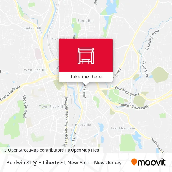 Mapa de Baldwin St @ E Liberty St