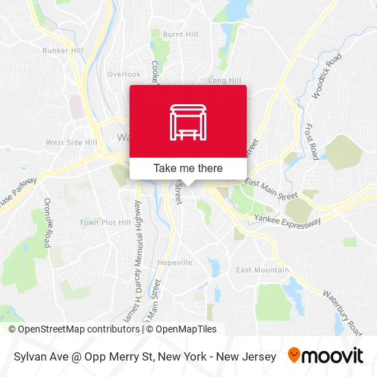 Mapa de Sylvan Ave @ Opp Merry St