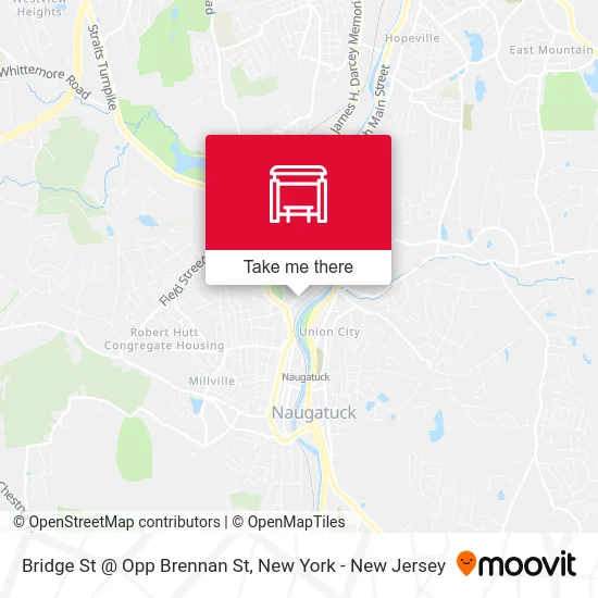 Bridge St @ Opp Brennan St map