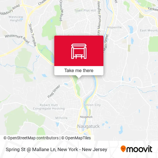 Mapa de Spring St @ Mallane Ln