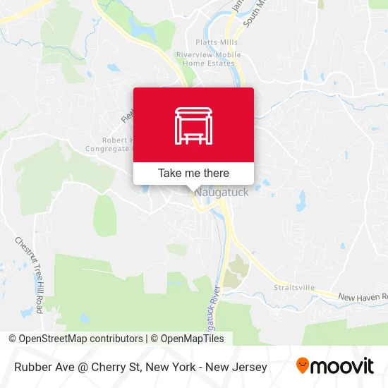 Rubber Ave @ Cherry St map