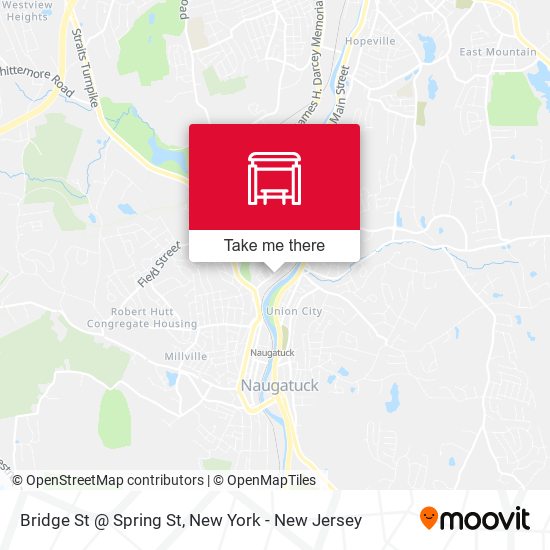 Bridge St @ Spring St map