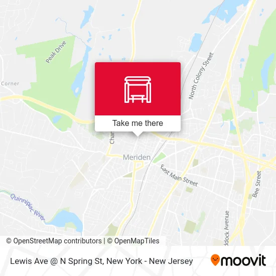 Lewis Ave @ N Spring St map