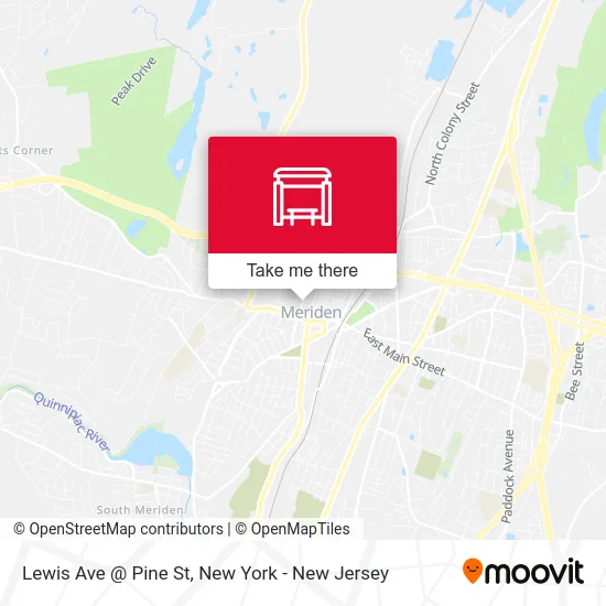 Lewis Ave @ Pine St map