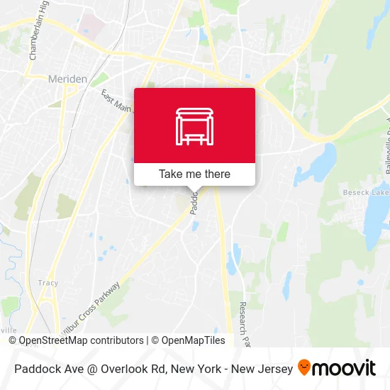 Paddock Ave @ Overlook Rd map