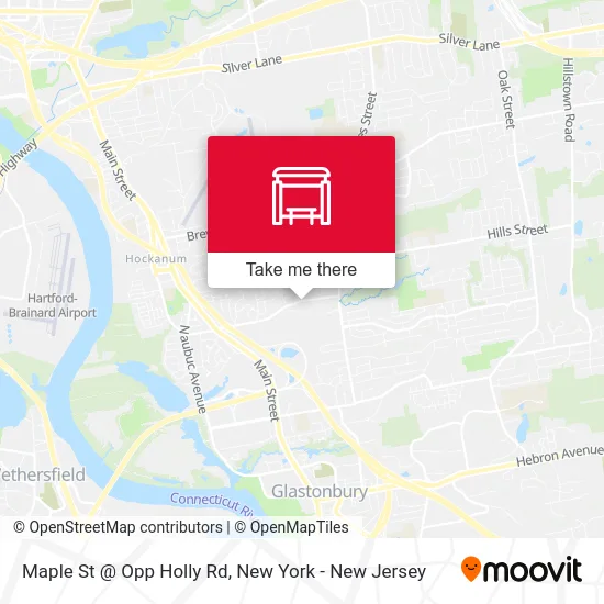 Maple St @ Opp Holly Rd map