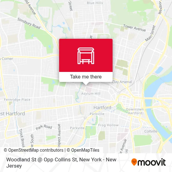 Woodland St @ Opp Collins St map