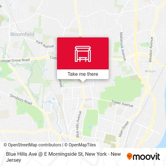 Blue Hills Ave @ E Morningside St map