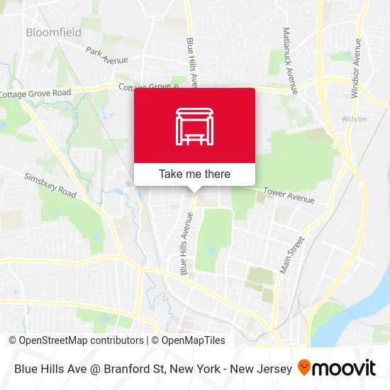 Blue Hills Ave @ Branford St map