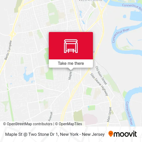 Maple St @ Two Stone Dr 1 map