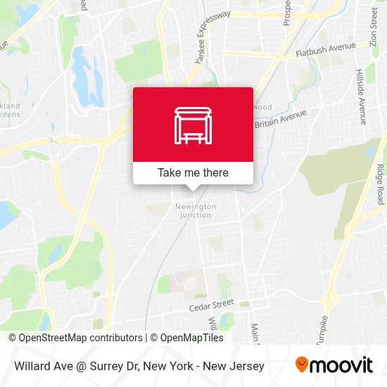 Willard Ave @ Surrey Dr map