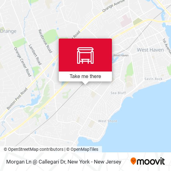 Mapa de Morgan Ln @ Callegari Dr