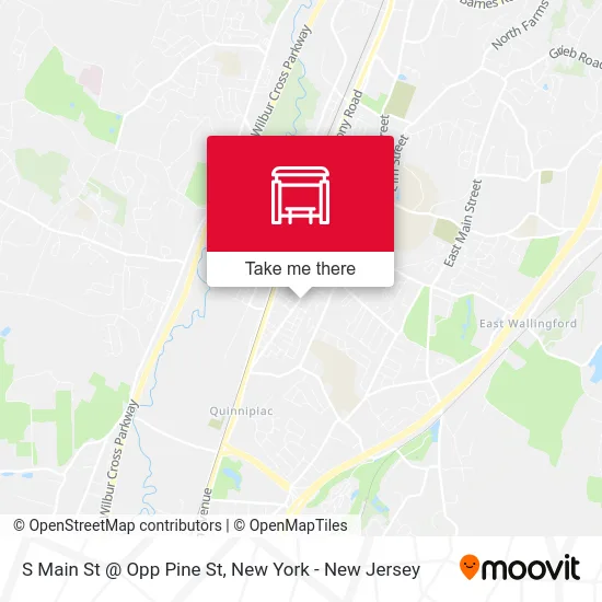 S Main St @ Opp Pine St map